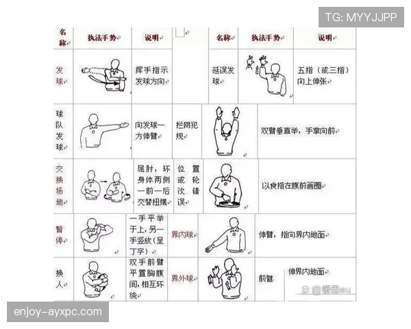 深入分析裁判手势规则具体指向帮助观众准确识别比赛违例犯规